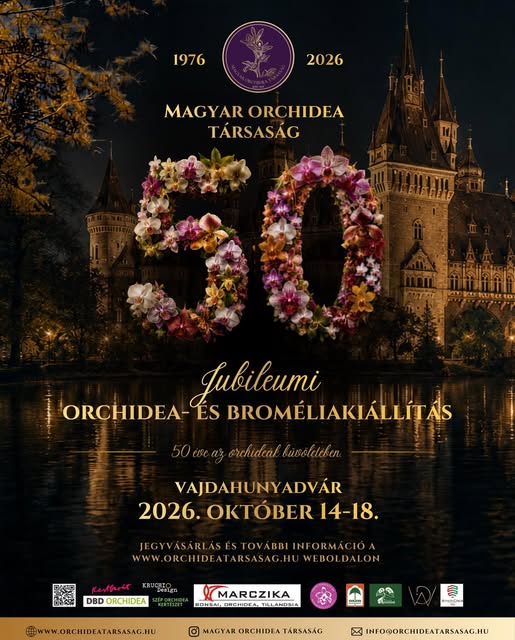 Magyar orchidea társaság kiállítás