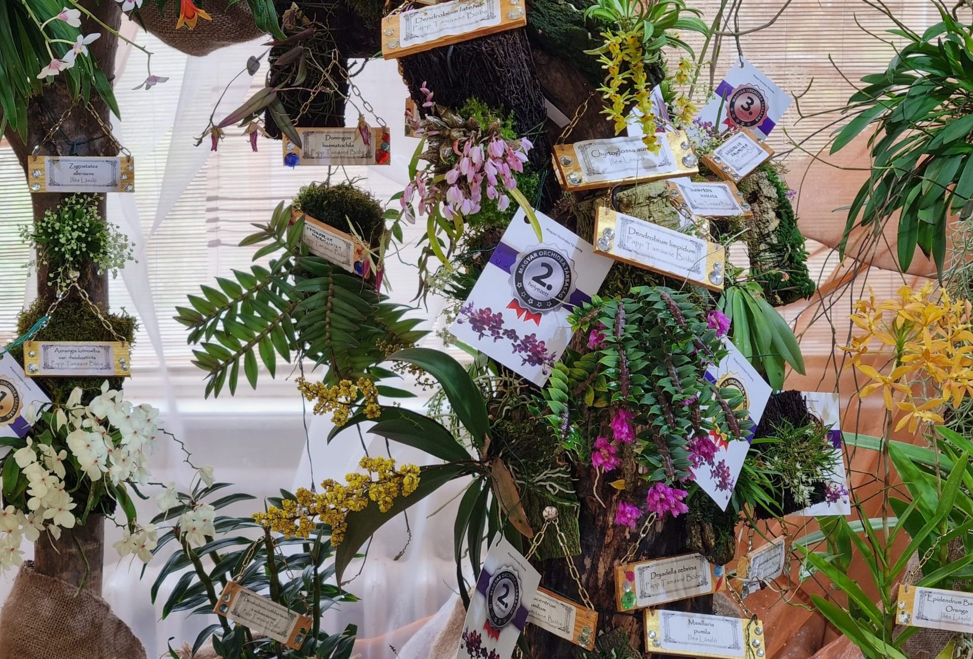 kiállítás-növénybírálat